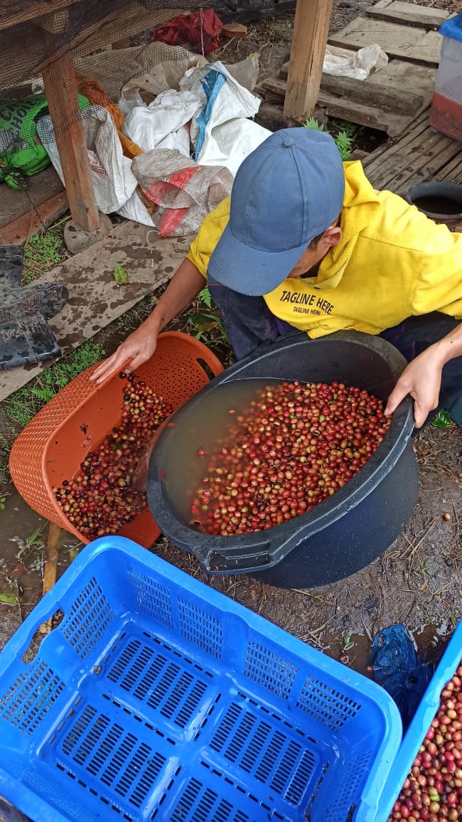 Paket Reguler Cottage